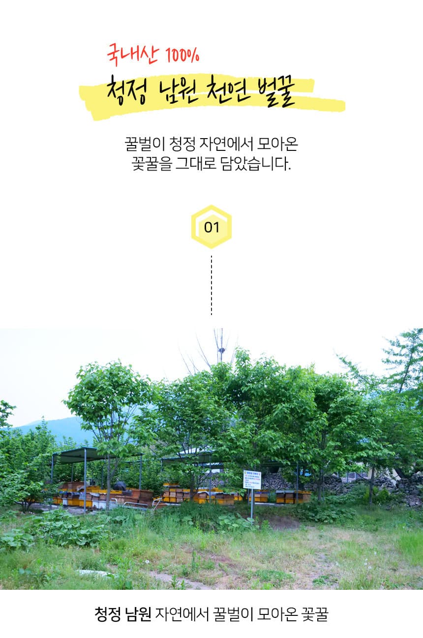 벌꿀 생산 과정 1단계 - 채밀